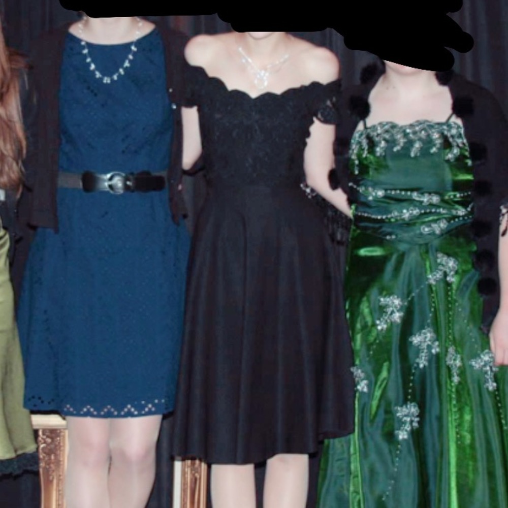 NWT! Lacy Fit and Flare Dress - Picture 10 of 11
